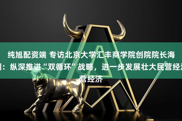 纯旭配资端 专访北京大学汇丰商学院创院院长海闻：纵深推进“双循环”战略，进一步发展壮大民营经济