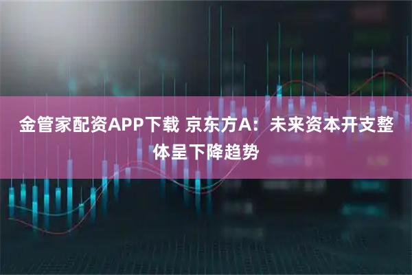 金管家配资APP下载 京东方A：未来资本开支整体呈下降趋势